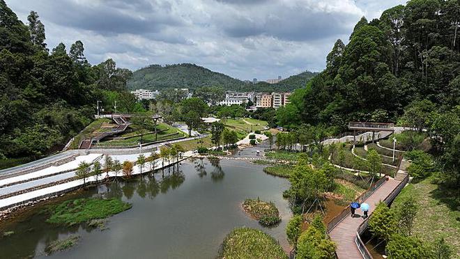 多国游客疑因饮用假酒不幸离世——老挝旅游安全引关注